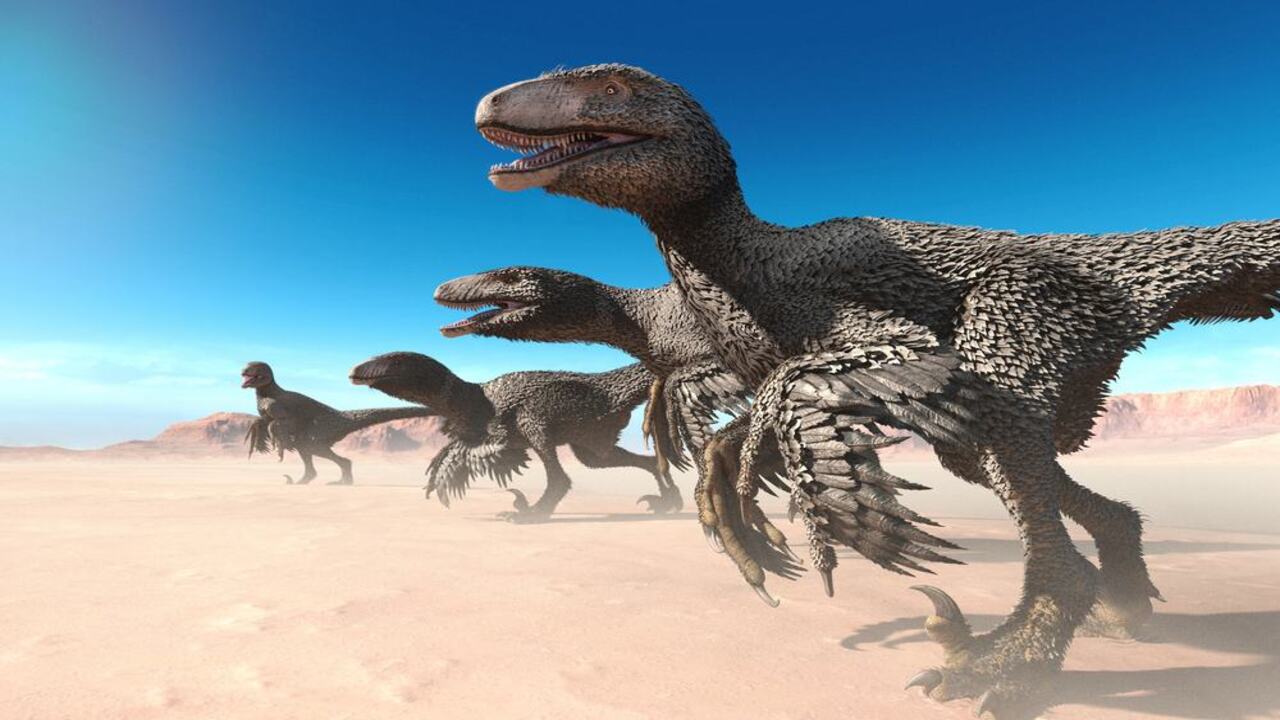 Descoberta sobre penas nos dinossauros surpreende cientistas e o mundo